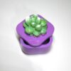 il_fullxfull.7581649530_4iba Handmade Mini Jewelry box - Decorative Accent for Jewelry, Treasures, Rings & Small Keepsakes