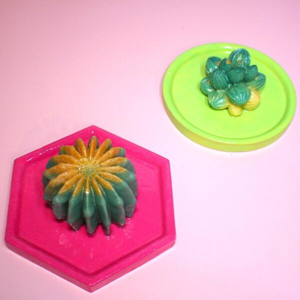 Cactus & Succulent Trinket Dish | Ring Dish | Decorative Tray – Your Choice of Style! 1 Cactus & Succulent Trinket Dish | Ring Dish | Decorative Tray – Your Choice of Style!