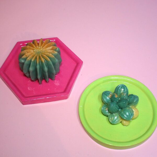 Cactus & Succulent Trinket Dish | Ring Dish | Decorative Tray – Your Choice of Style! 2 Cactus & Succulent Trinket Dish | Ring Dish | Decorative Tray – Your Choice of Style!